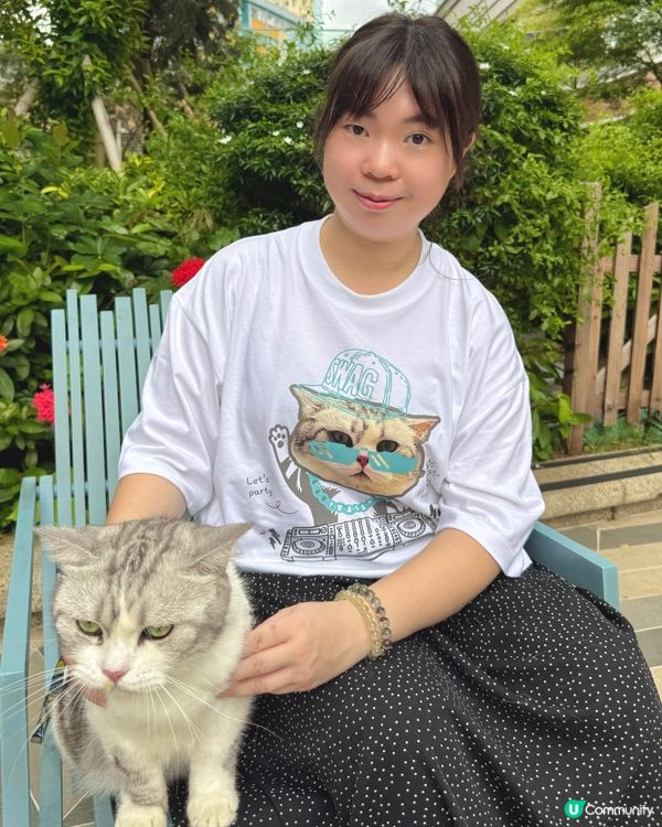 大頭寵物畫風📸🐱💖
