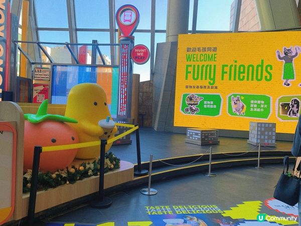 旺角｜打卡台灣菜🇹🇼