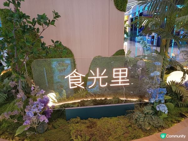 東莞美食街🍲🍛🍜🍱