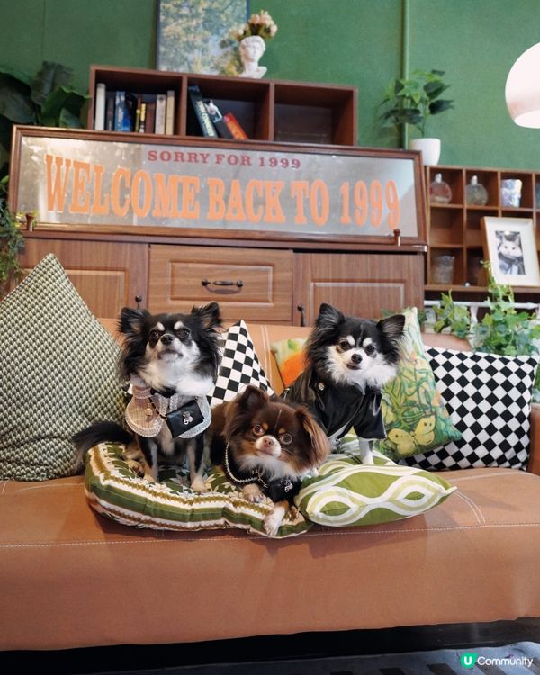 又到咗可以著皮褸嘅天氣😎