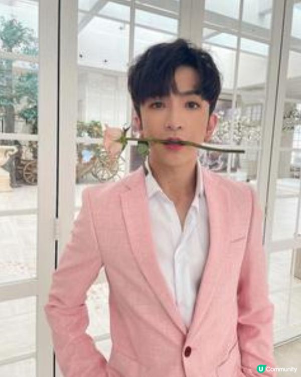 盧瀚霆 - 香港男歌手、跳唱組合MIRROR成員
