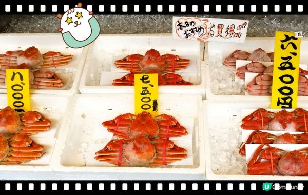 肥美秋日紅楚蟹！🤩