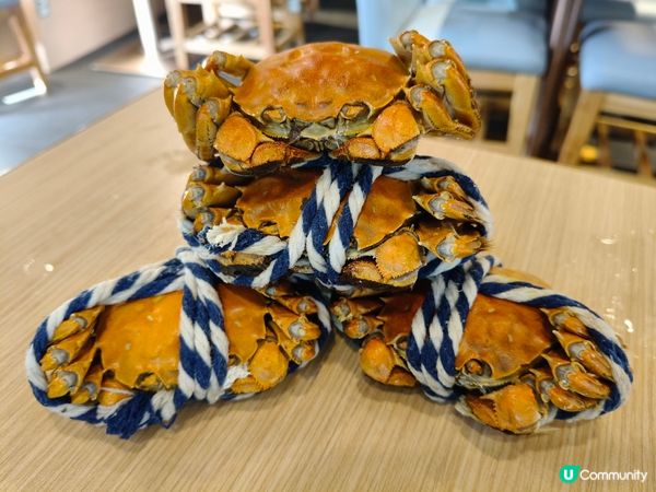 荃灣放題驚喜！$346尊享三小時大閘蟹任食🦀✨