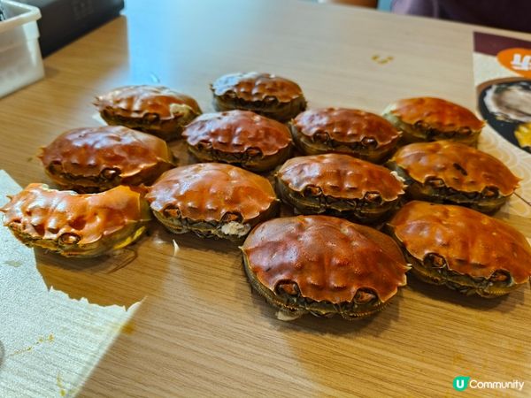 荃灣放題驚喜！$346尊享三小時大閘蟹任食🦀✨