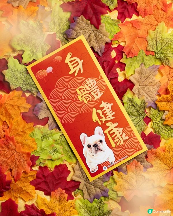 法國鬥牛犬㊗️你馬年身體健康､出入平安‼️