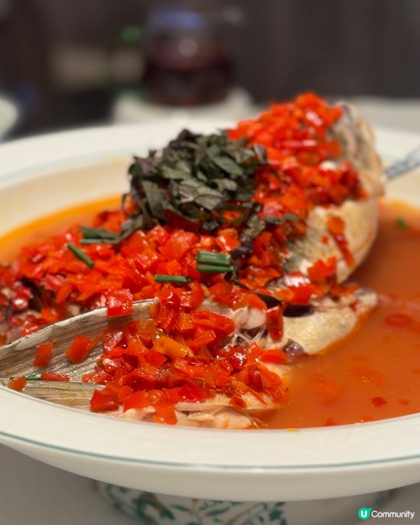 米芝蓮指南入選餐廳🎖️