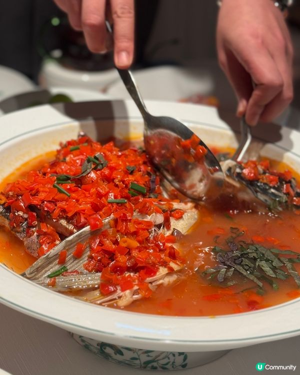 米芝蓮指南入選餐廳🎖️