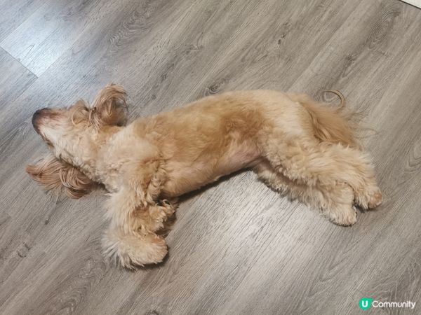 🍭：我叫波板糖妹妹，但人人都叫我做趣怪妹妹。。