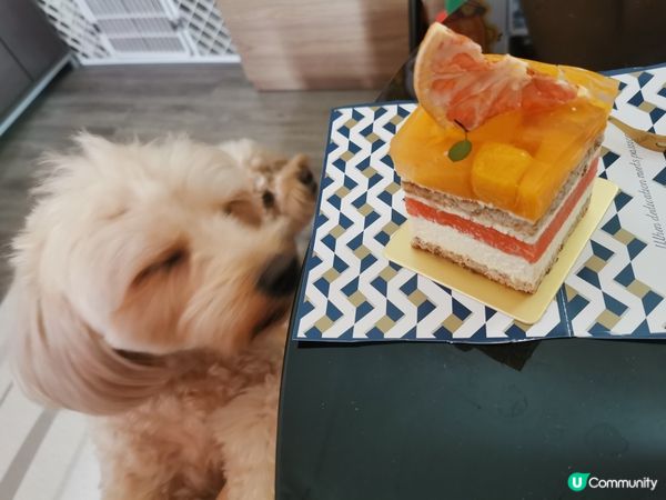 🍭：我叫波板糖妹妹，但人人都叫我做趣怪妹妹。。