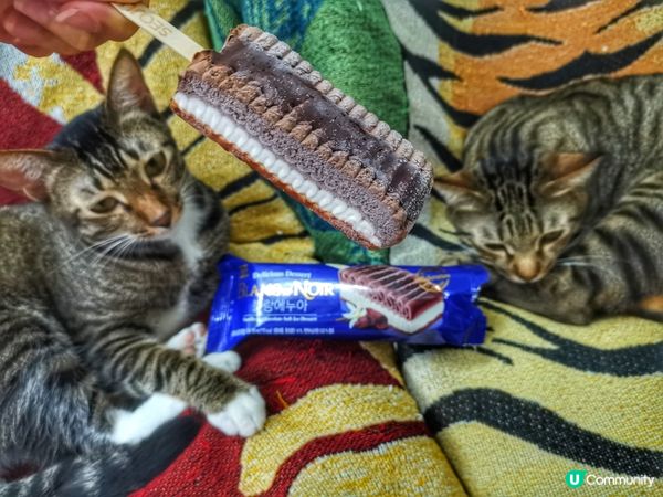 Maca: 走開啦！又係淨係得你食，我地都無份食嘅