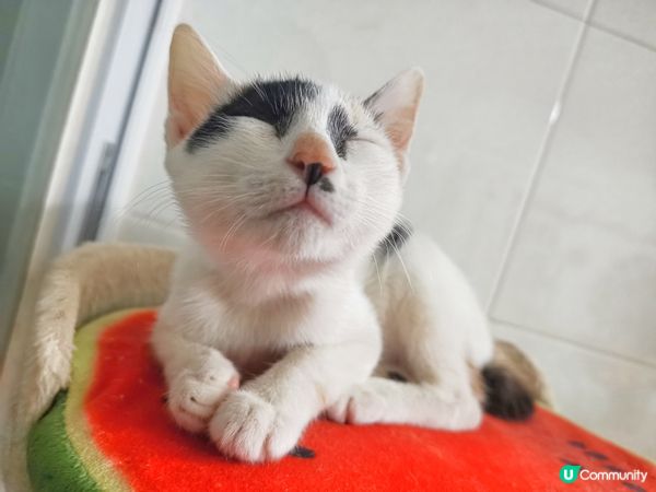 奶媽話我有性感大粒墨