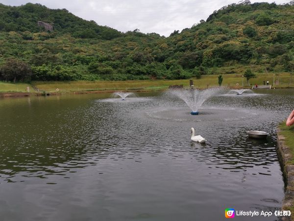 一趟深圳的生態之旅，令我享受到大自然的無限美景