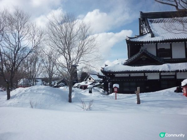  雪地飛馳