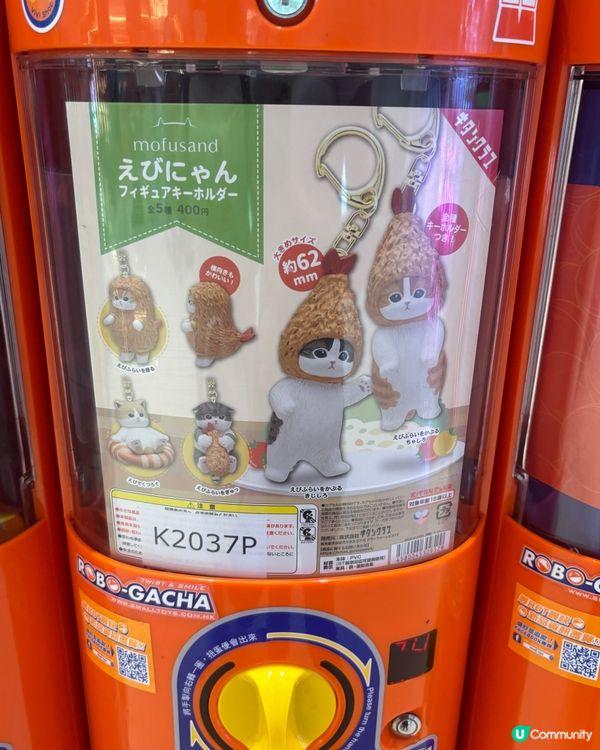 QQ mofusand 扭蛋🤩🫶🏻