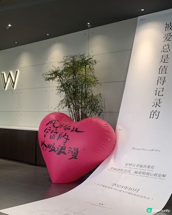 ## 婚紗照大成功🎉  完美團隊💯