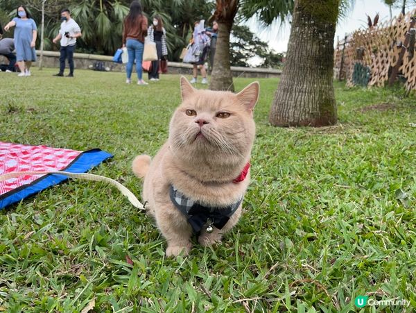 天氣涼涼地，最適合去野餐🍉🧺