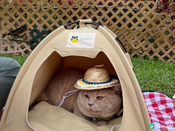 天氣涼涼地，最適合去野餐🍉🧺