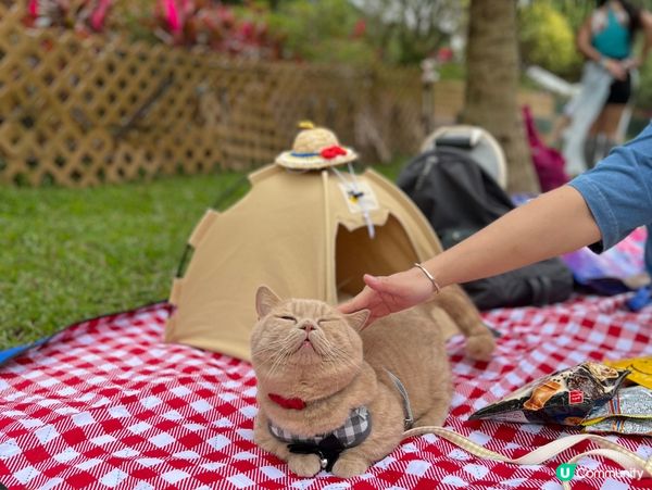 天氣涼涼地，最適合去野餐🍉🧺
