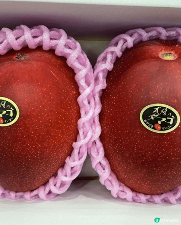 黃金芒果過新年