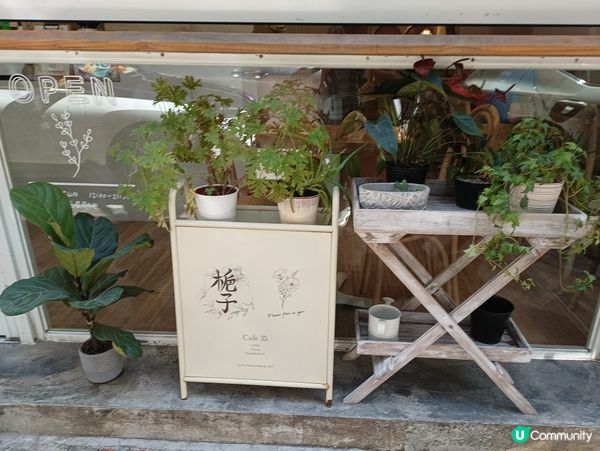 山林道打卡新寵 🌺