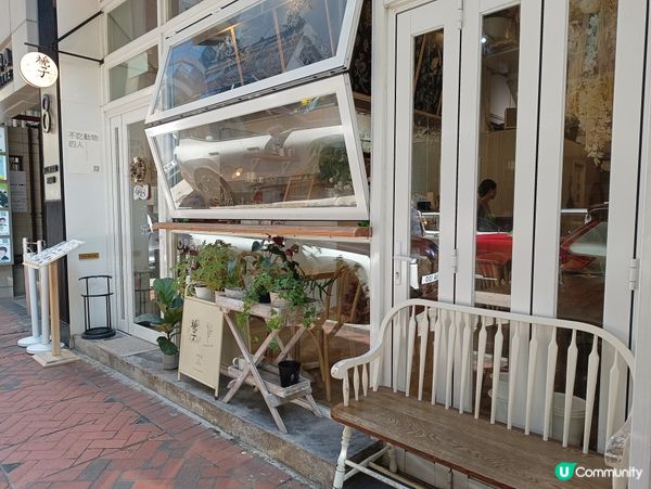 山林道打卡新寵 🌺