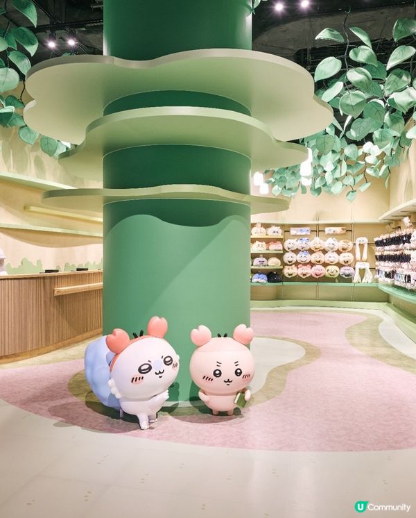 吉伊卡哇點解咁紅？🤩 爆紅原因解構！