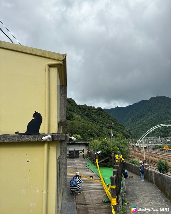 超值台北本地團$100，帶你一日遊走九份，十分和猴硐貓村