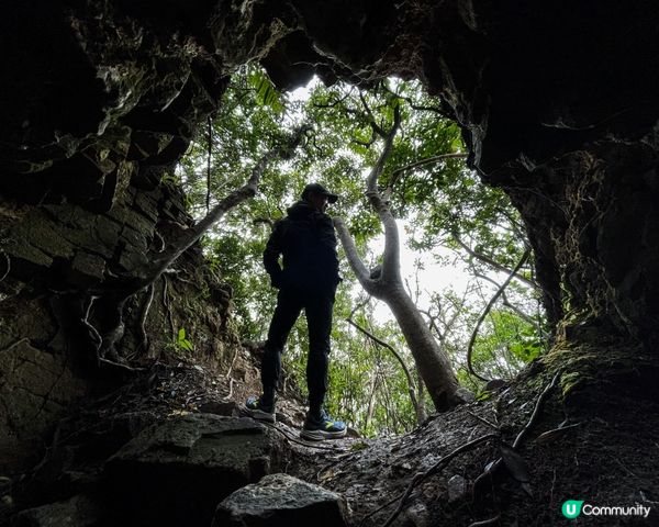 西高山一樹洞探險