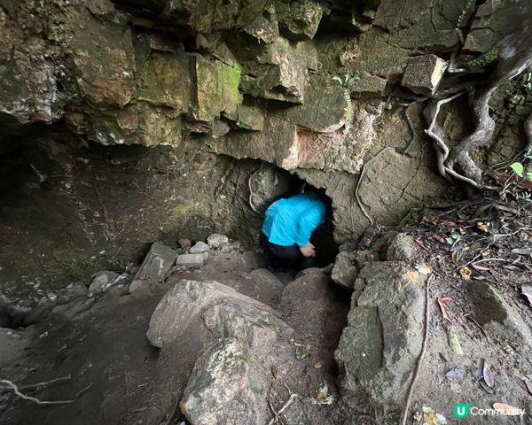 西高山一樹洞探險