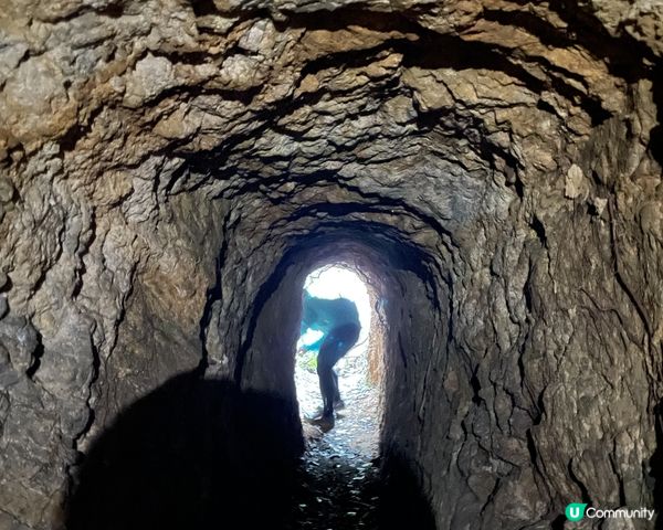 西高山一樹洞探險