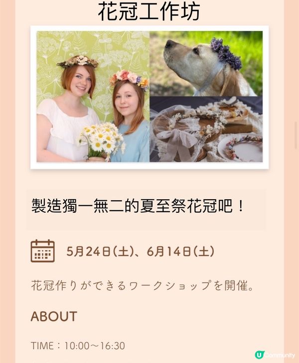 北歐夏至祭🔥感受篝火的浪漫💕