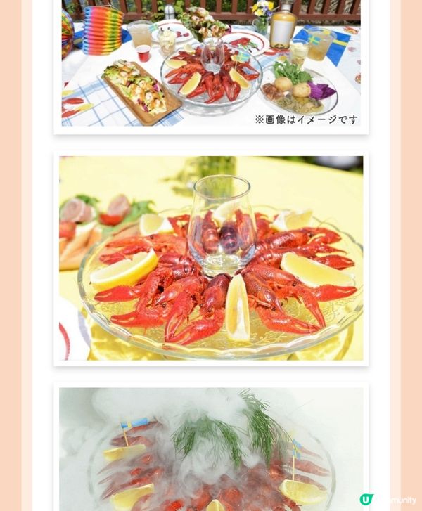 北歐夏至祭🔥感受篝火的浪漫💕