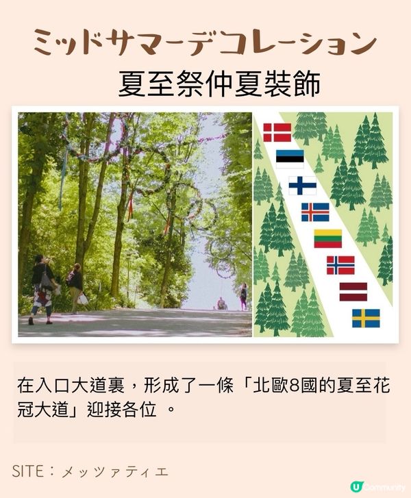 北歐夏至祭🔥感受篝火的浪漫💕