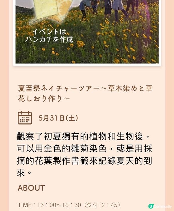 北歐夏至祭🔥感受篝火的浪漫💕