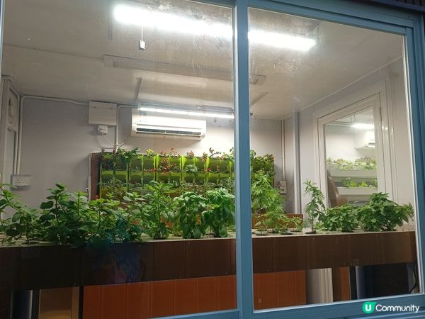 好想時光倒流💬