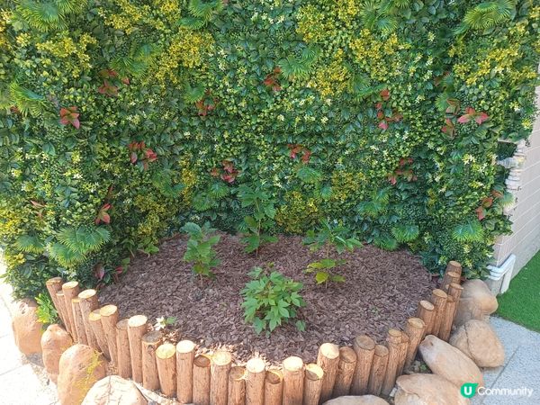 好想時光倒流💬