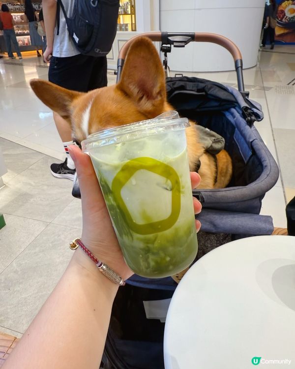 消暑新選擇！椰子控請進💕