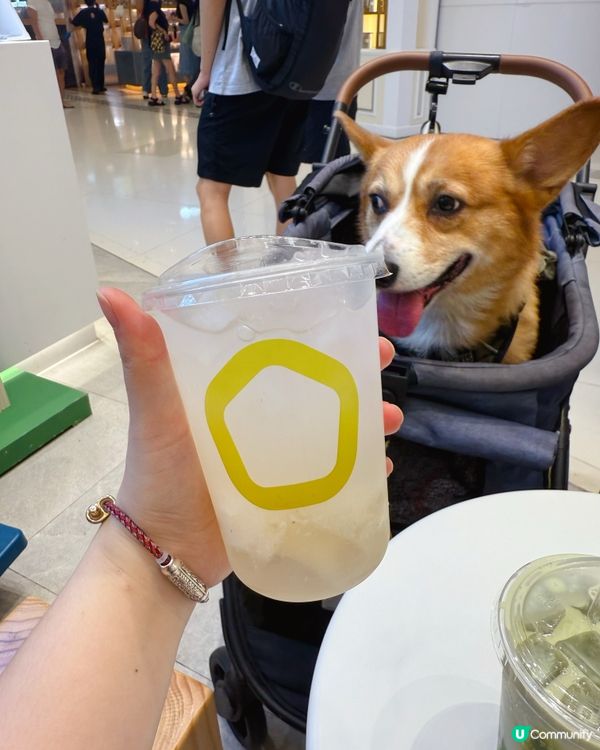 消暑新選擇！椰子控請進💕