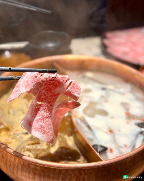 沙田滿足任食台式火鍋 暖冬滋補養生薈