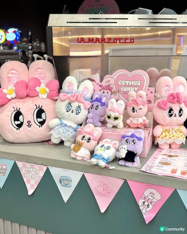 召集Esther Bunny迷 🐇 🐰 