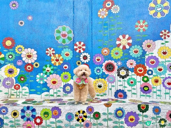 壁畫🖌️隱世童話村🏡