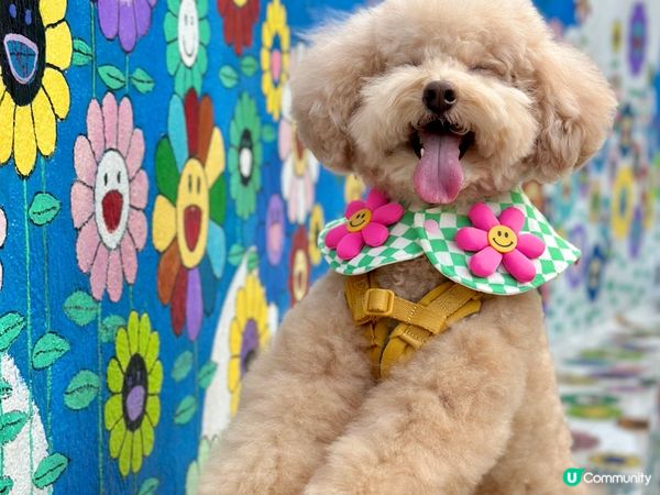 壁畫🖌️隱世童話村🏡