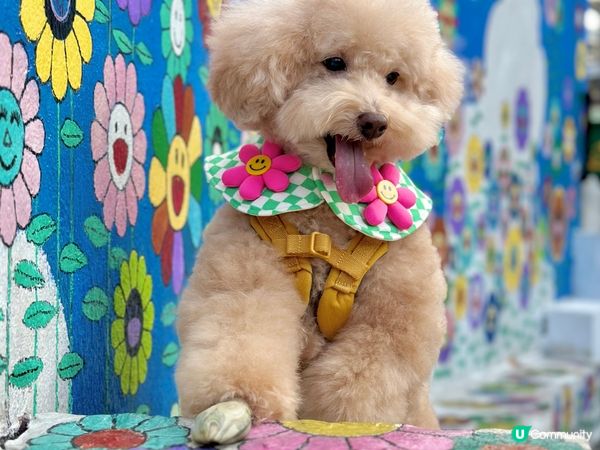 壁畫🖌️隱世童話村🏡