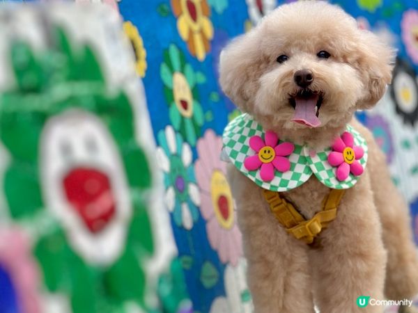 壁畫🖌️隱世童話村🏡