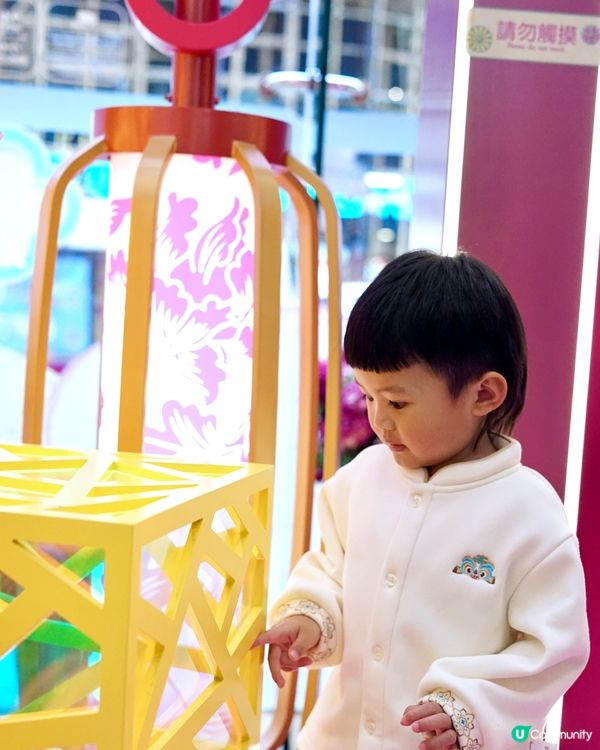 荃灣千色匯花影風車牆！🌸🎡✨