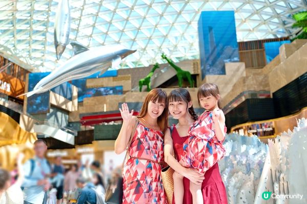 活潑海豚空中海洋暢泳。MGM美高梅海底世界