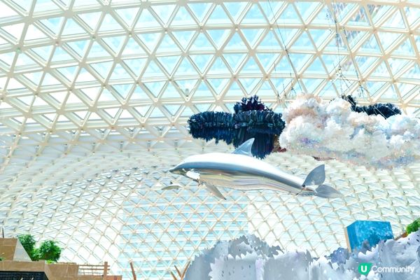 活潑海豚空中海洋暢泳。MGM美高梅海底世界