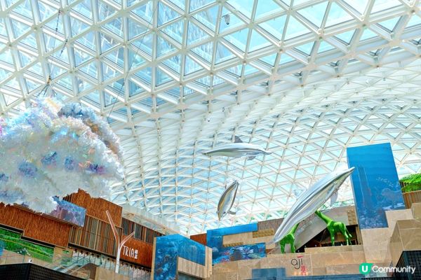 活潑海豚空中海洋暢泳。MGM美高梅海底世界
