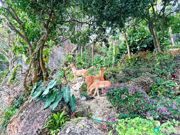 三亞「鹿回頭風景區」🦌