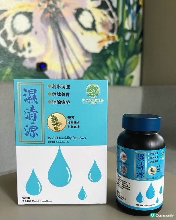 擺脫濕氣與疲態的秘密武器🩵